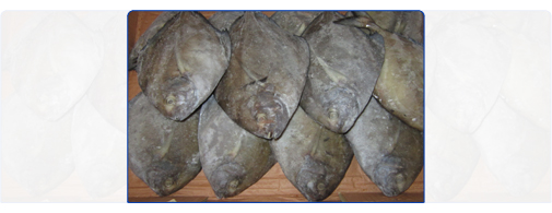 Black Pomfret (Whole Round, clean)